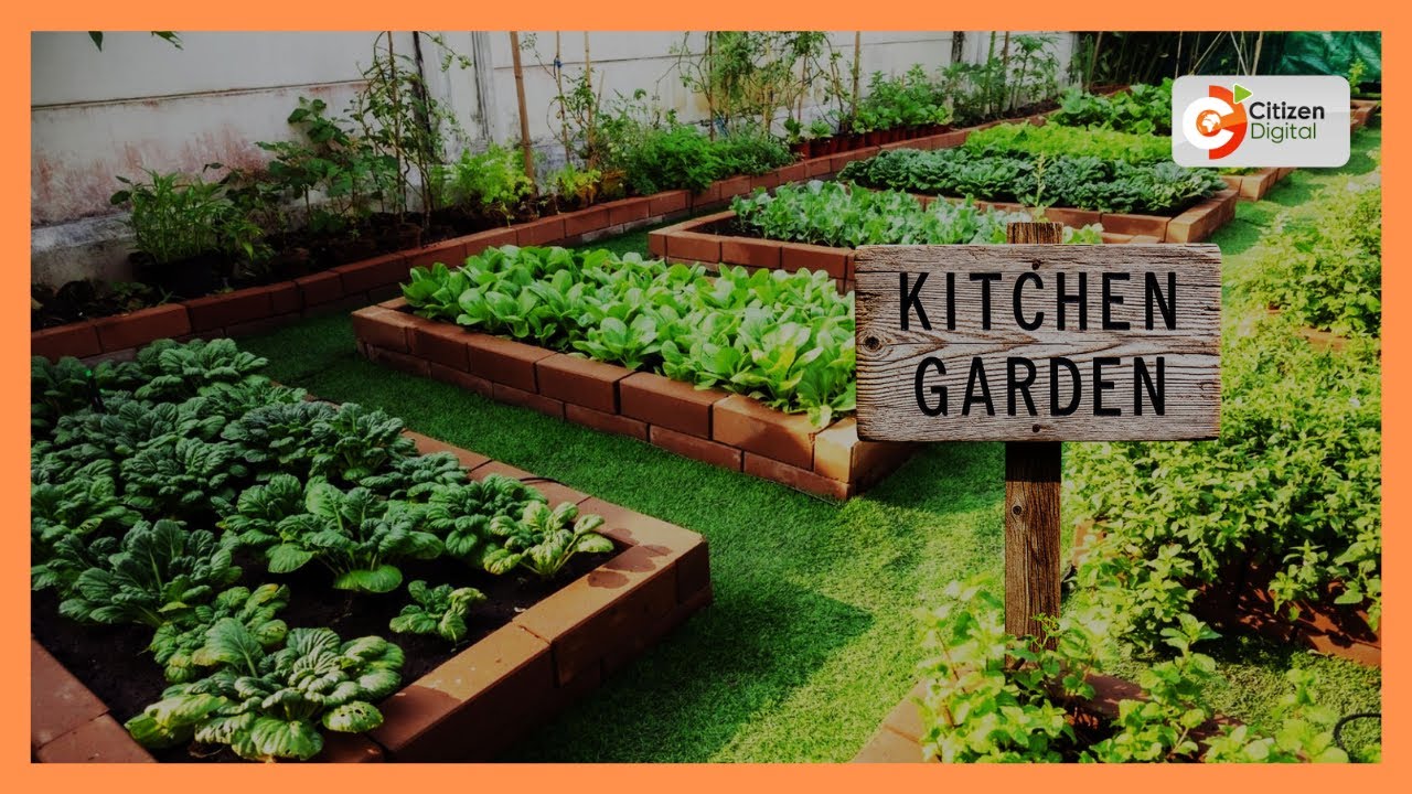 | KENYA'S GOLD | Kitchen Garden Farming [Part 1]
