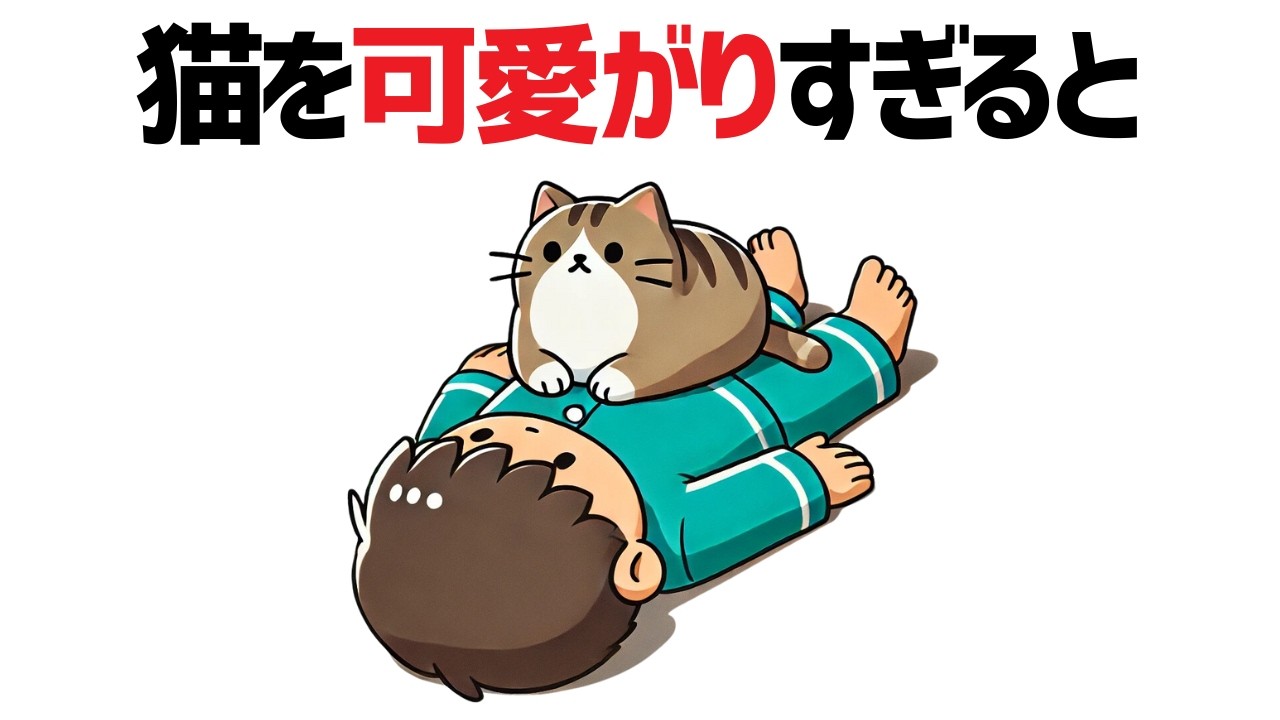 猫好き必見！猫を可愛がりすぎるとどうなる！？【猫の雑学10選】 #雑学 #豆知識 #トリビア