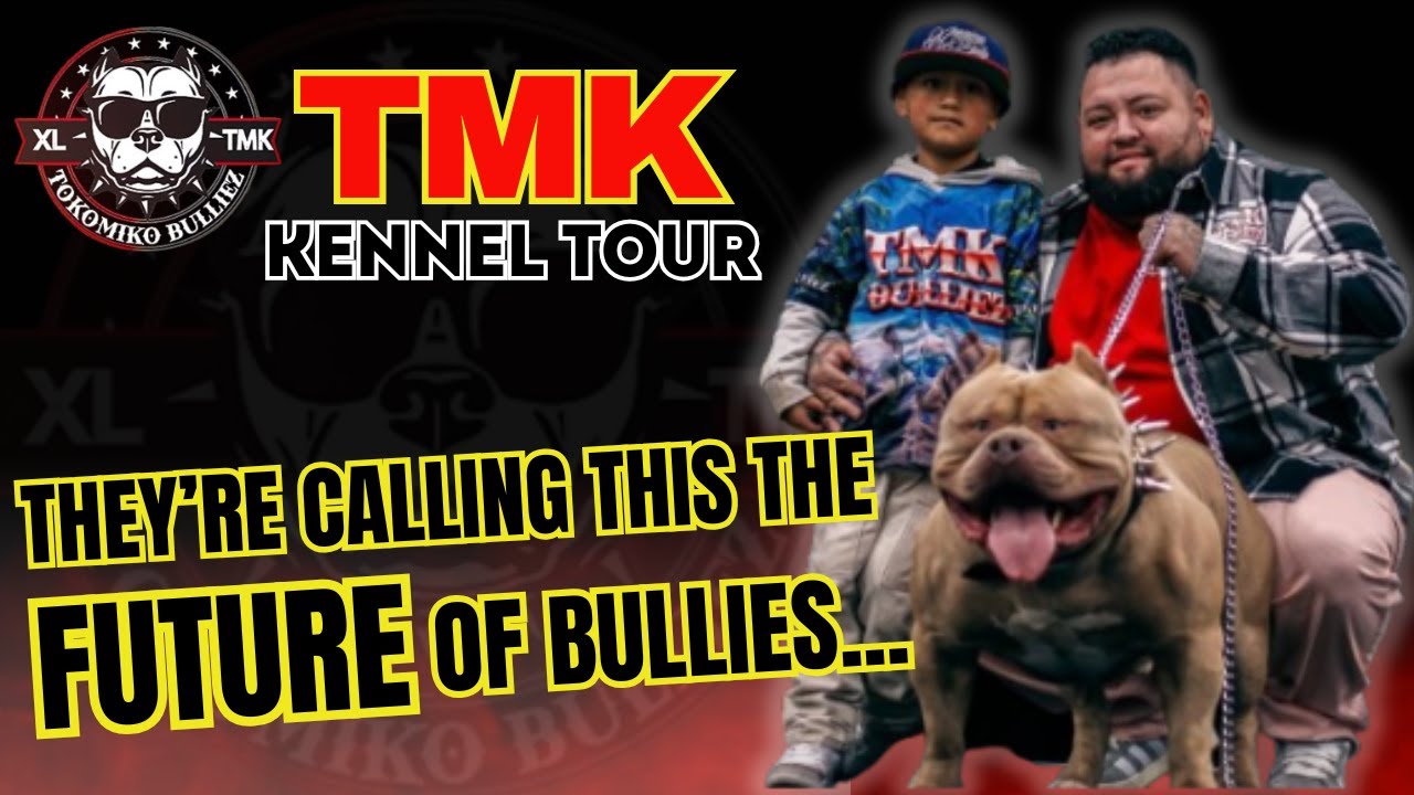 EXCLUSIVE: The Most Talked-About Kennel in the Bully Scene
