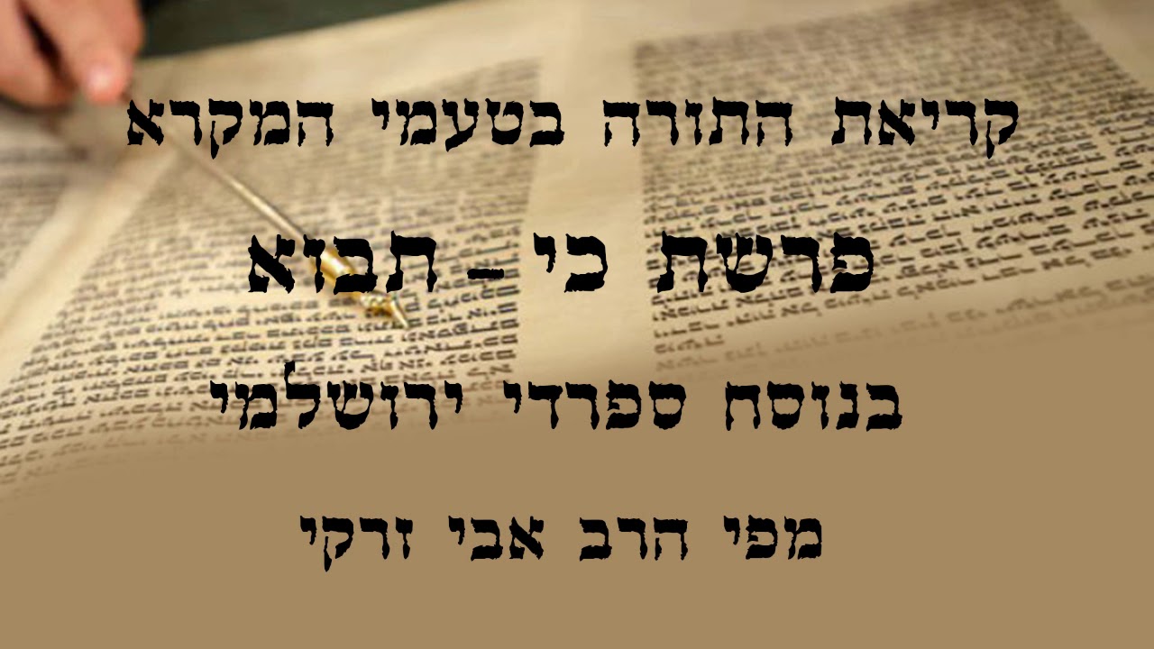 הרב אבי זרקי- קריאת התורה פרשת 