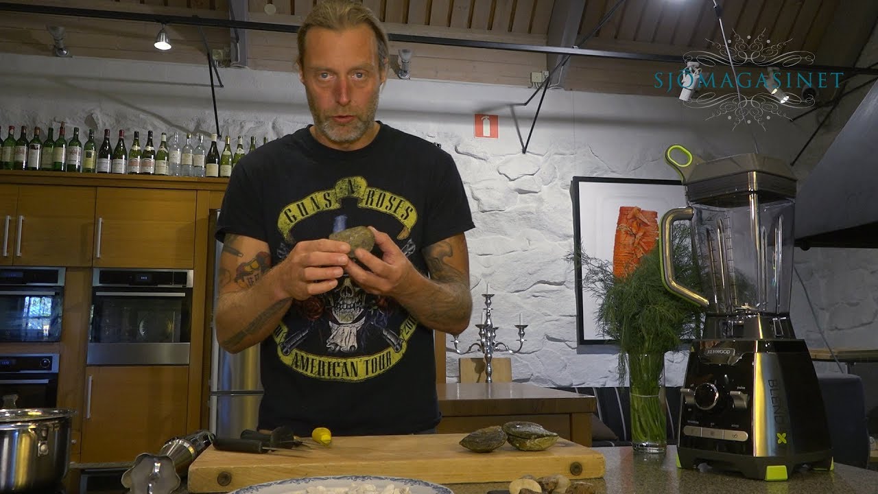 Gustav Trägårdh om Ostron SJÖMAGASINET