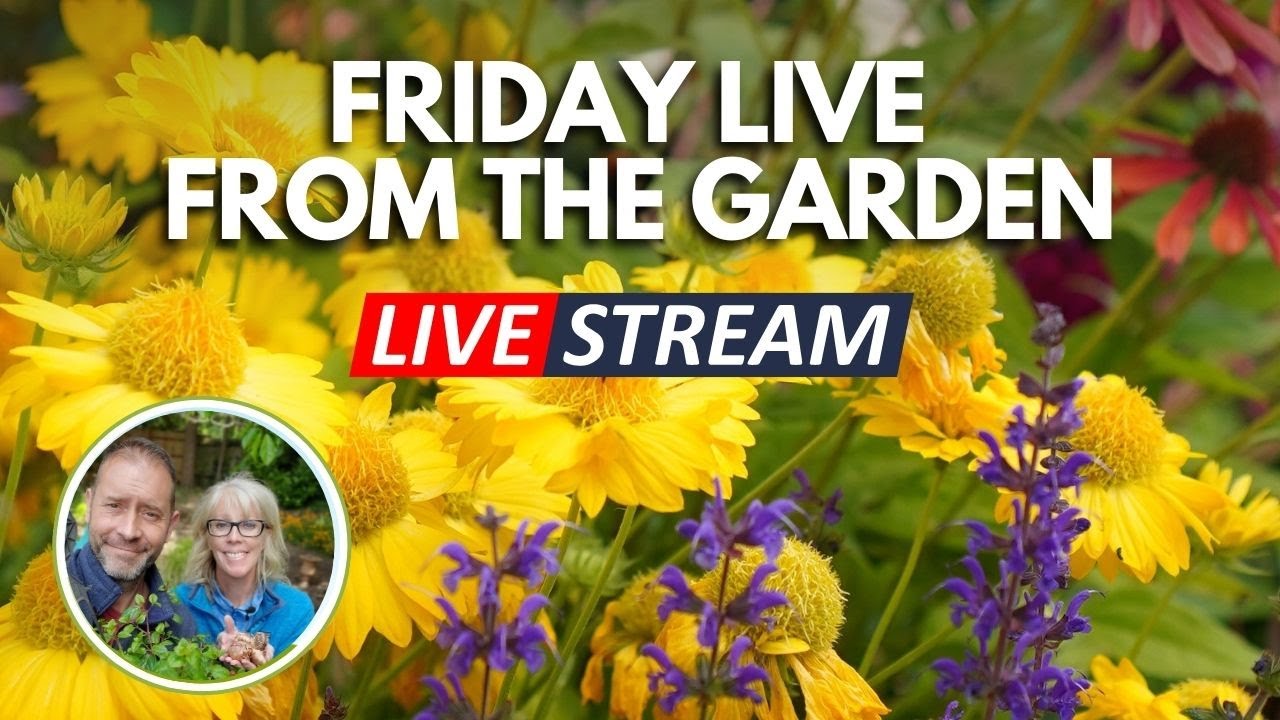 Friday Garden Live - What's Up? #live #gardening #friday