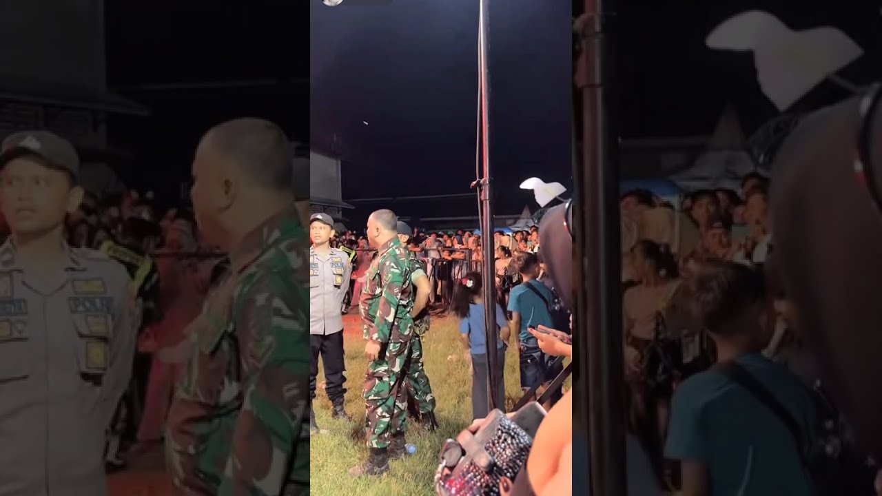 konser valen dan mila