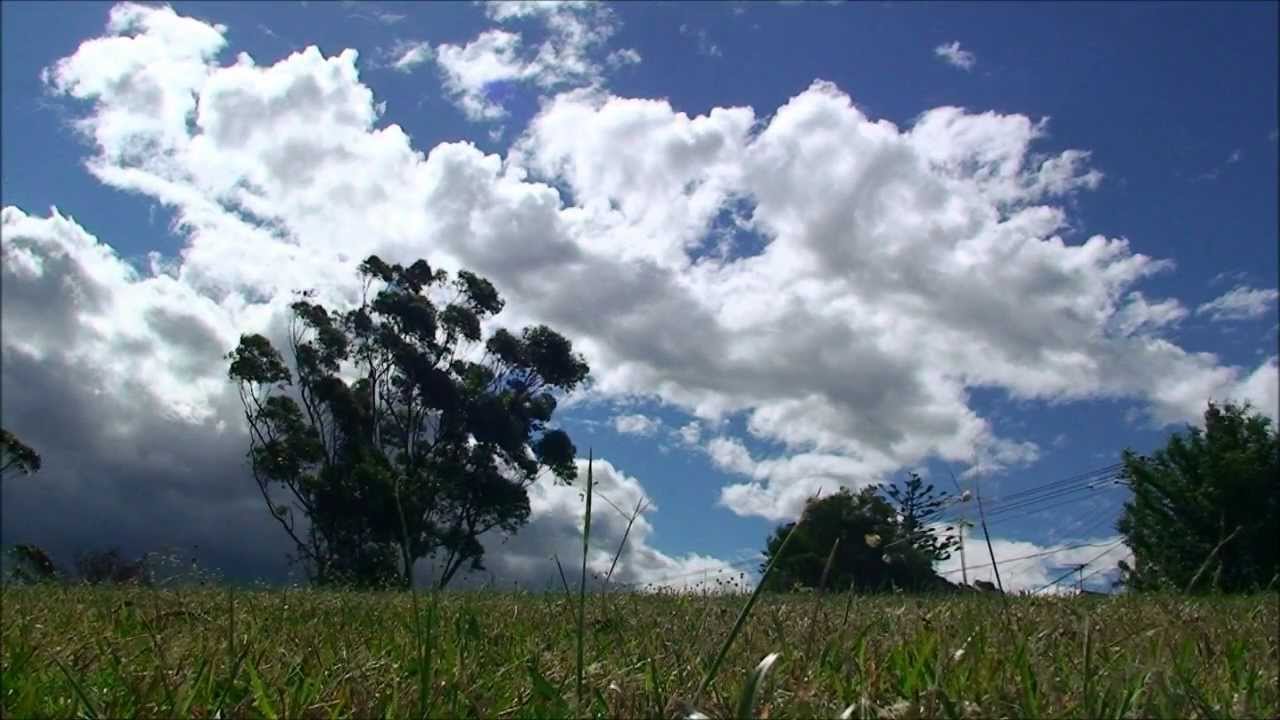 Ed Harrison - Lost & Found