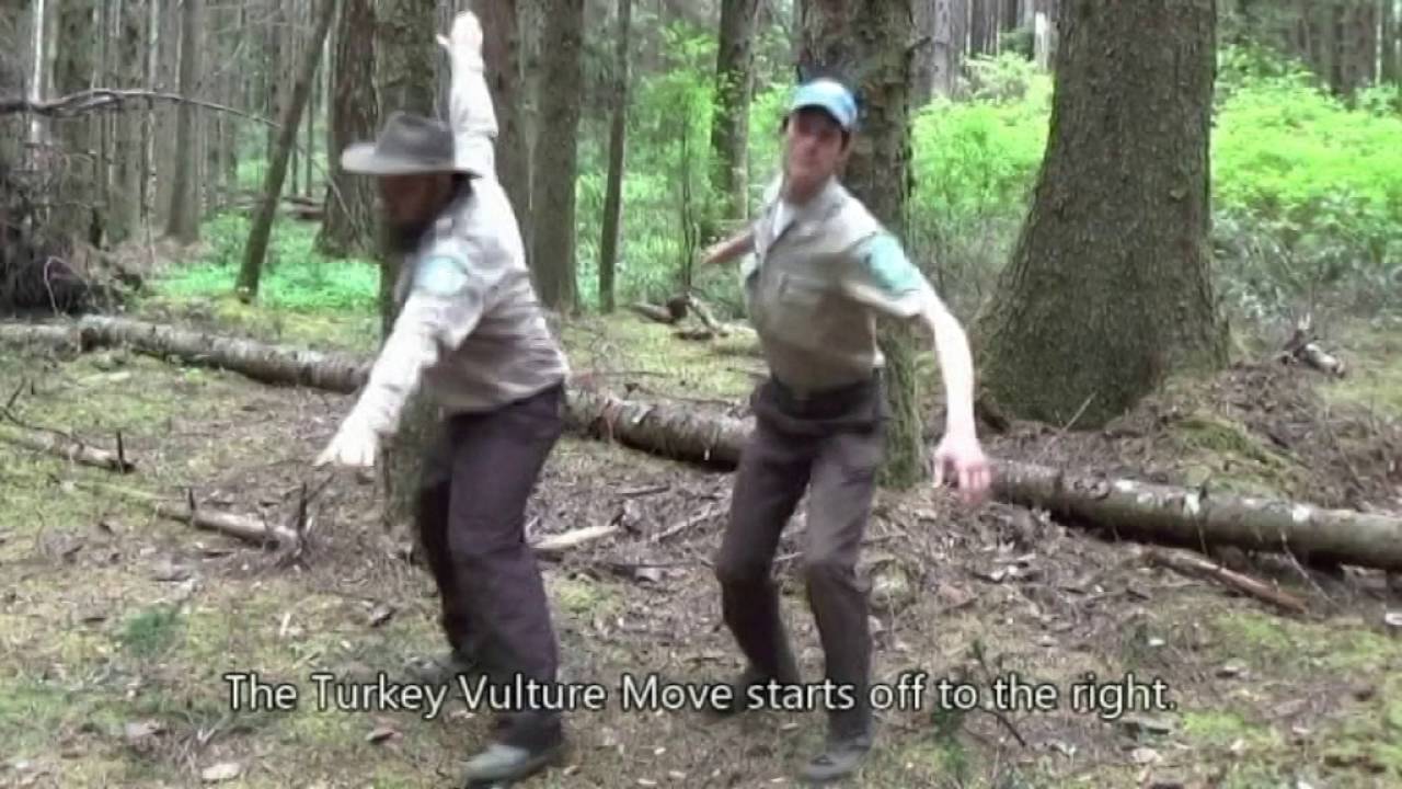 CCC 40th Anniversary BioBlitz Dance Invitation