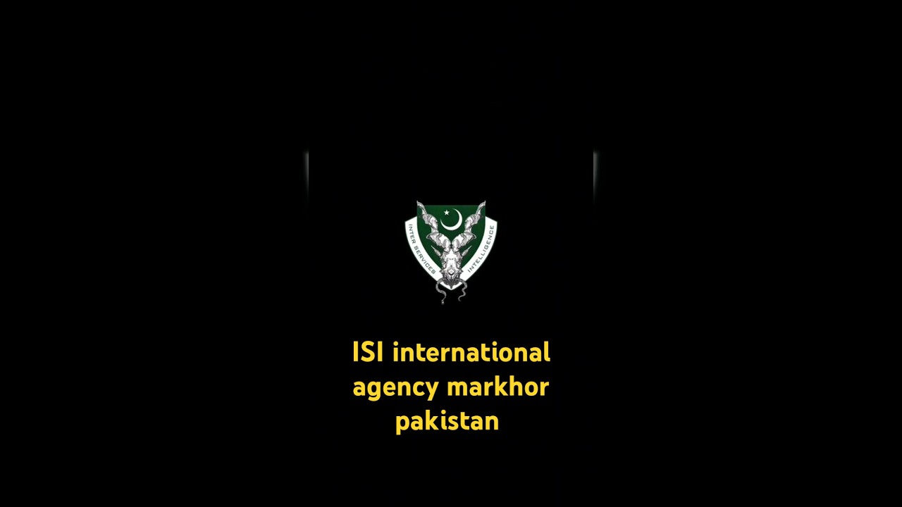 ISI international agency markhor pakistan #isi #trending