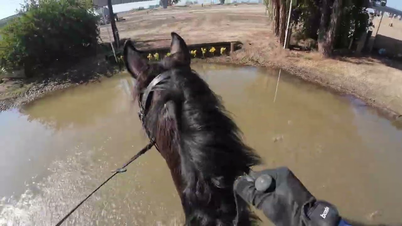 RamTap Eventing HT XCountry BN Oct 2025