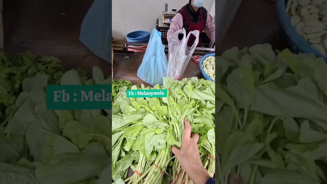 Aktifitas mbak tkw TAIWAN #minivlog 