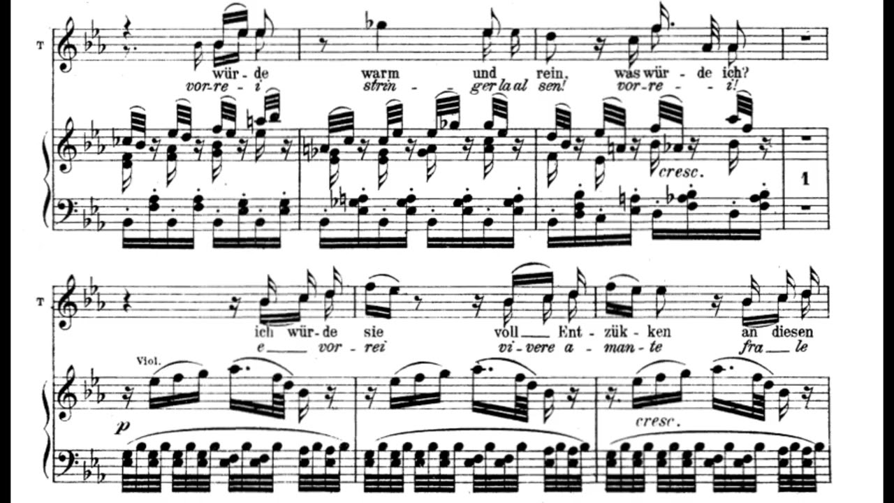 Dies Bildnis ist bezaubernd schön (Die Zauberflöte - W.A. Mozart) Score Animation