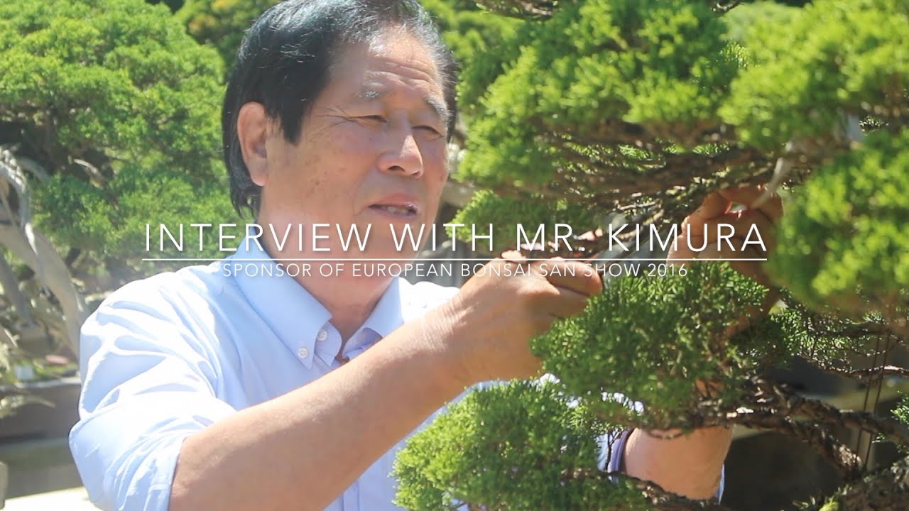 Interview with Bonsai master Masahiko Kimura