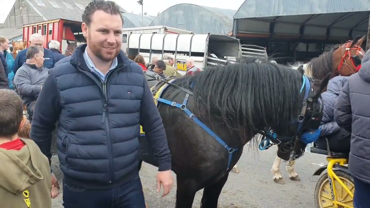 Milltown,Co.Kerry horse 🐎 fair Sunday April 27th 2025.