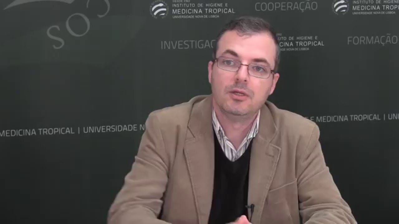 Vírus Zika: Sintomas, Diagnóstico e Tratamento
