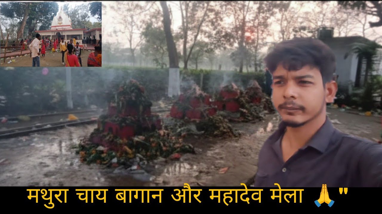 মথুরা চা বাগান Mahadev special vlog #vlog #challenge #subscribe #support #trending 