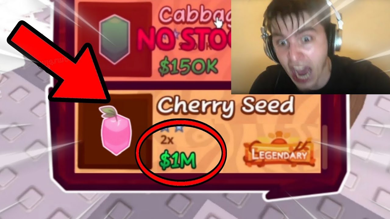 WHEN THE CHERRY SEED IS IN STOCK BUT...