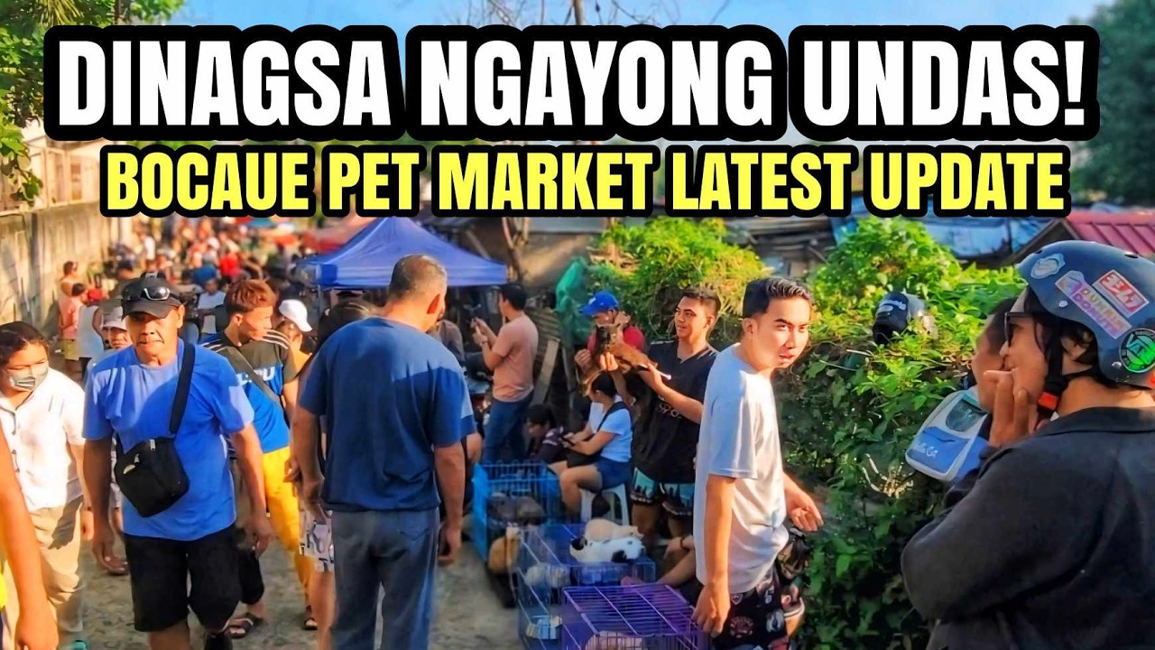 DINAGSA NGAYON UNDAS 2024! BOCAUE PET MAKET LATEST UPDATE | P2,500 MESTISONG HUSKY | MURANG CHOWCHOW
