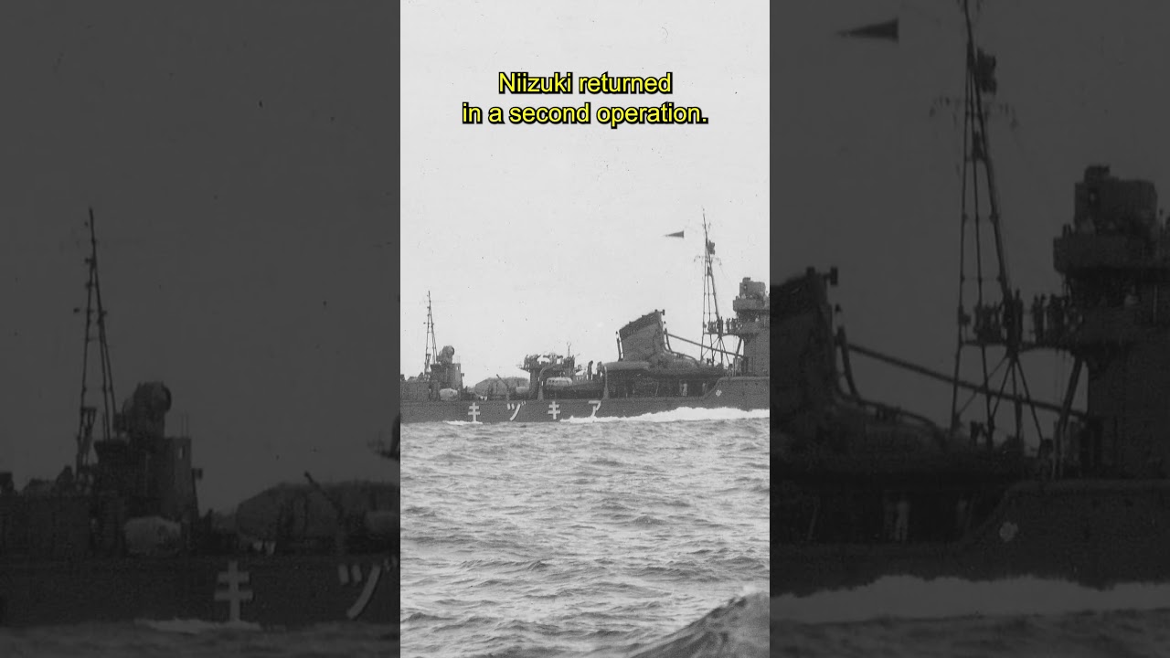 The Destroyer With the Longest Torpedo Kill, IJN Niizuki | #ww2 #history #facts #military #fyp