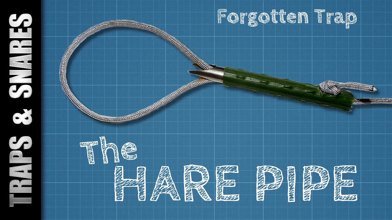 The Forgotten Hare Pipe: Uncover This Primitive Survival Trap | Ancient Snare Explained