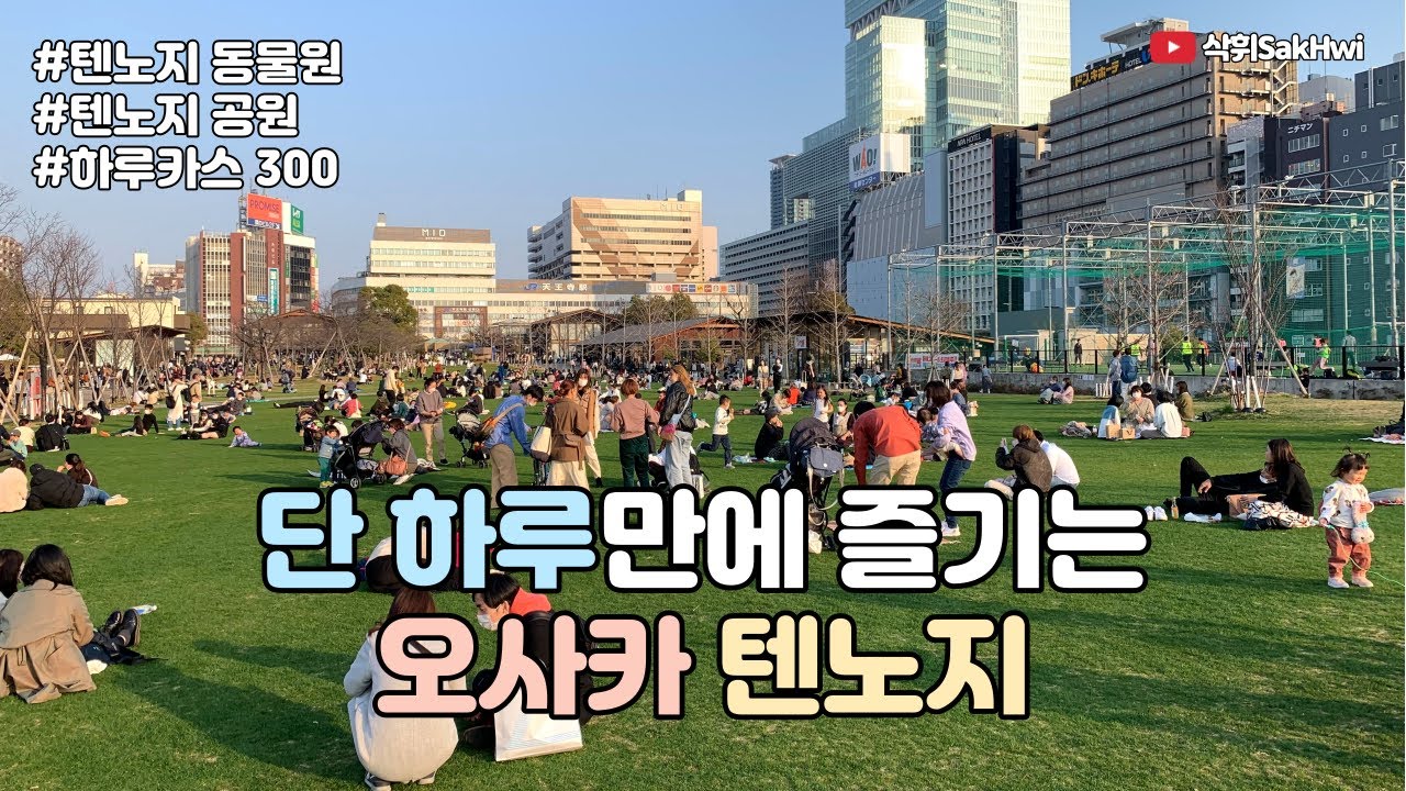 일본 오사카 l 단 하루만에 즐기는 텐노지 l 텐노지 동물원 l 텐노지 공원 l 아베노 하루카스 300 l 일본 오사카 브이로그