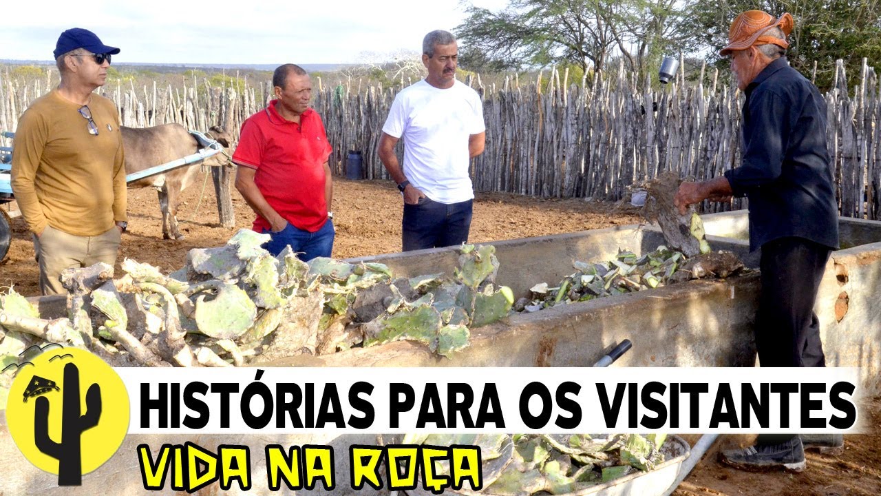 [VIDA NA RO&Ccedil;A] Jo&atilde;o do &Oacute;, corta Palma e conta Hist&oacute;rias para seus Visitantes - Parte 01 🌵