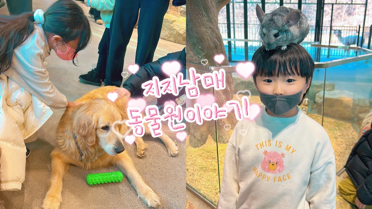 지지남매 동물원이야기