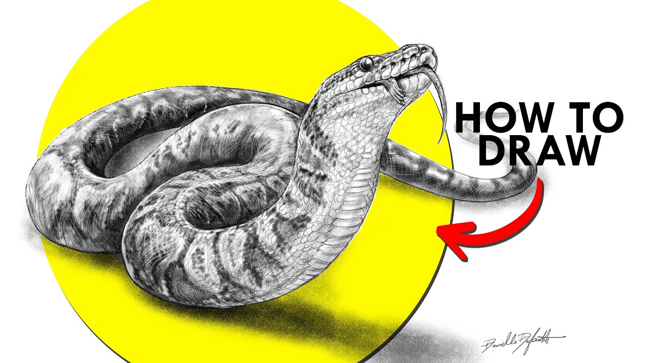 How To Draw A Python