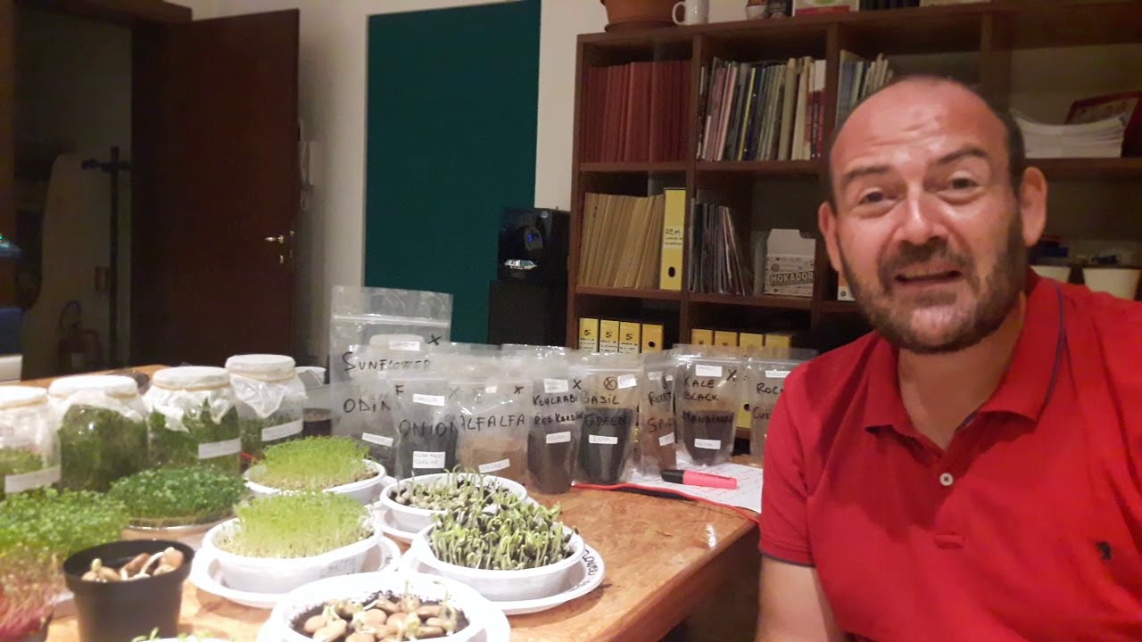 Perchè mangiare germogli e microgreen?