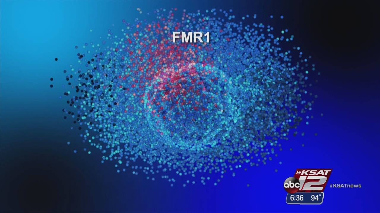 Fragile X Treatment: Medicine&rsquo;s Next Big Thing?