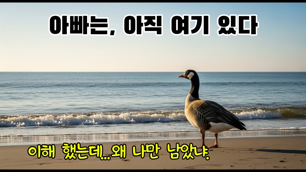 집은 여기다