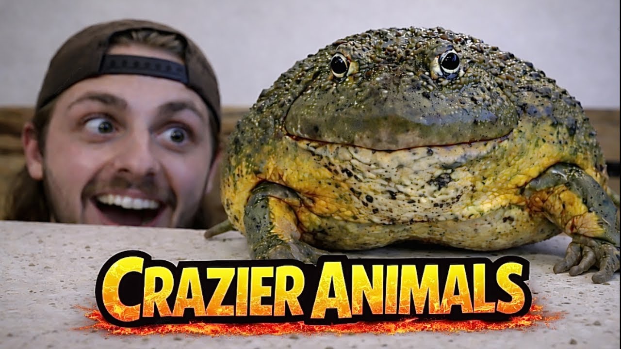 The Craziest Animals I Own!!