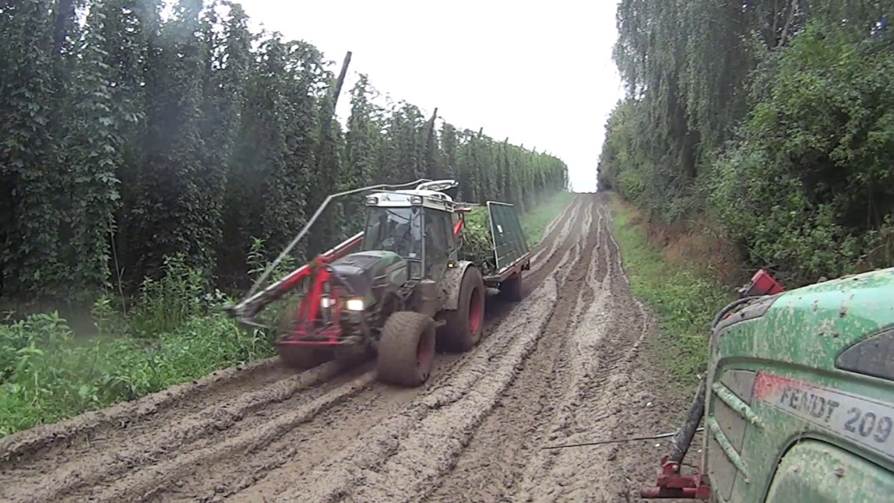 Chmielowe Żniwa 2016-Na Większą Skale ,,Hopfenernte In einem größeren Maßstab