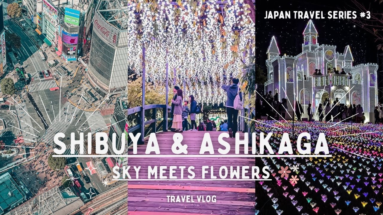JAPAN TRAVEL VLOG | Shibuya Sky | The AWARD WINNING Ashikaga Flower Park Winter Illuminations | 2023