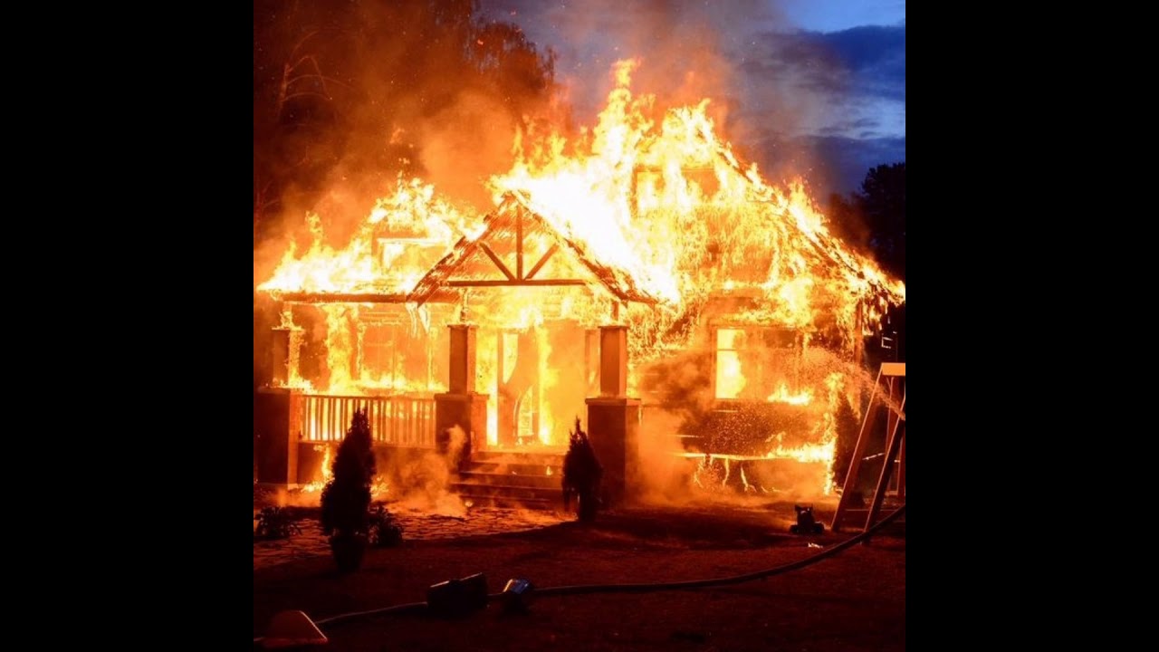 @stefoficial7 x @ear.kid - Molly