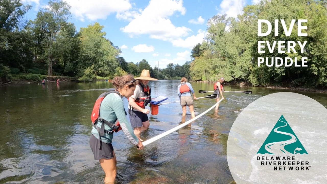 Delaware Riverkeeper Network | Dive Every Puddle