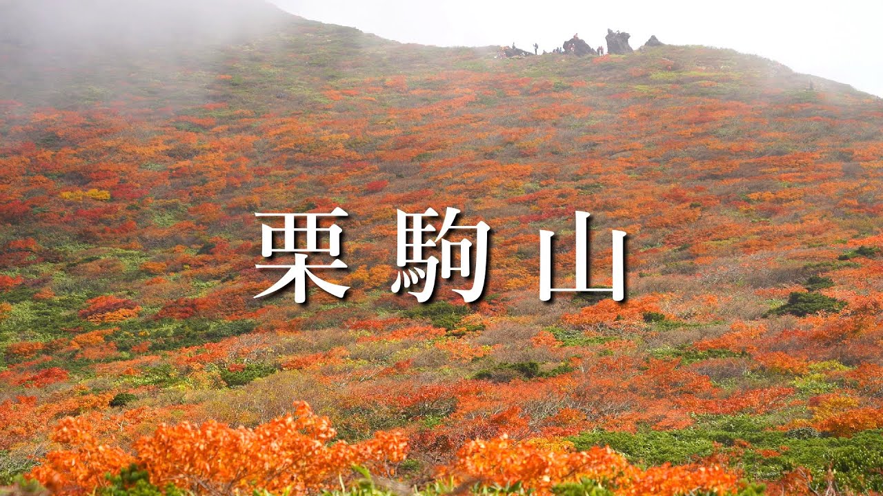 【紅葉の栗駒山】神の絨毯と呼ばれる東北の名峰へ(須川温泉より周回ルート・日帰り登山)