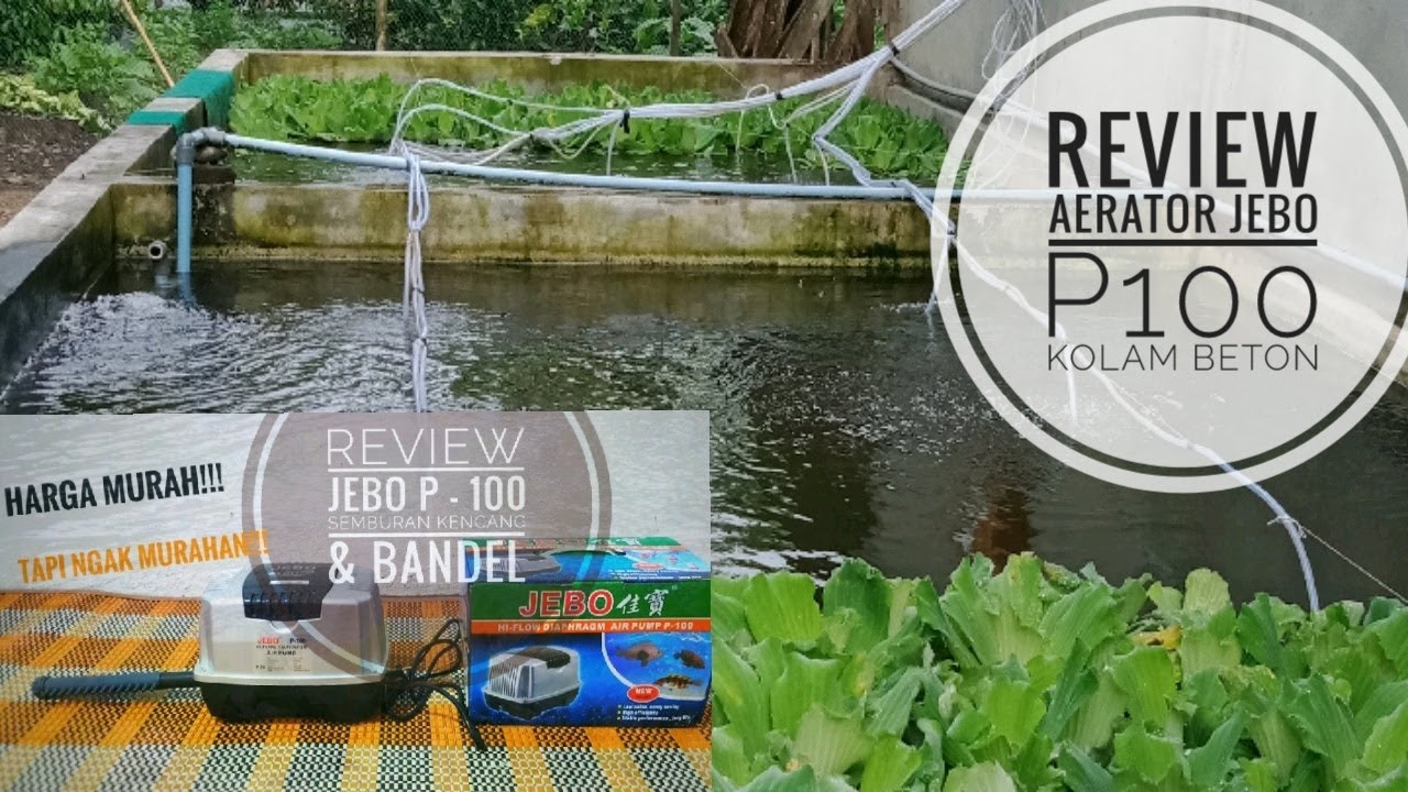 Penggunaan AERATOR JEBO P100 pada kolam beton
