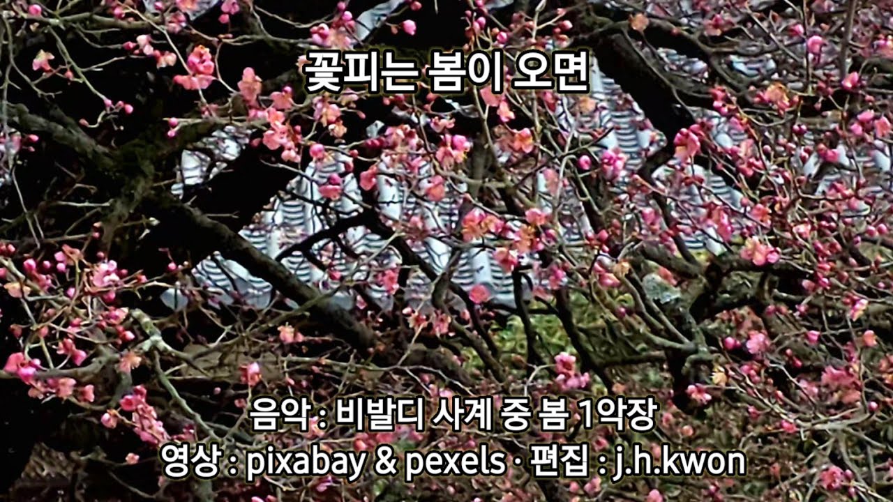 꽃피는 봄이 오면