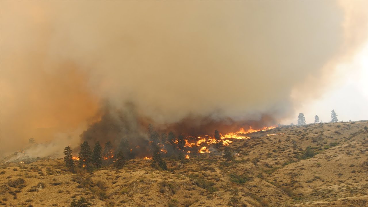Five Year Fight: The Carlton Complex Fire Recovery Part 1