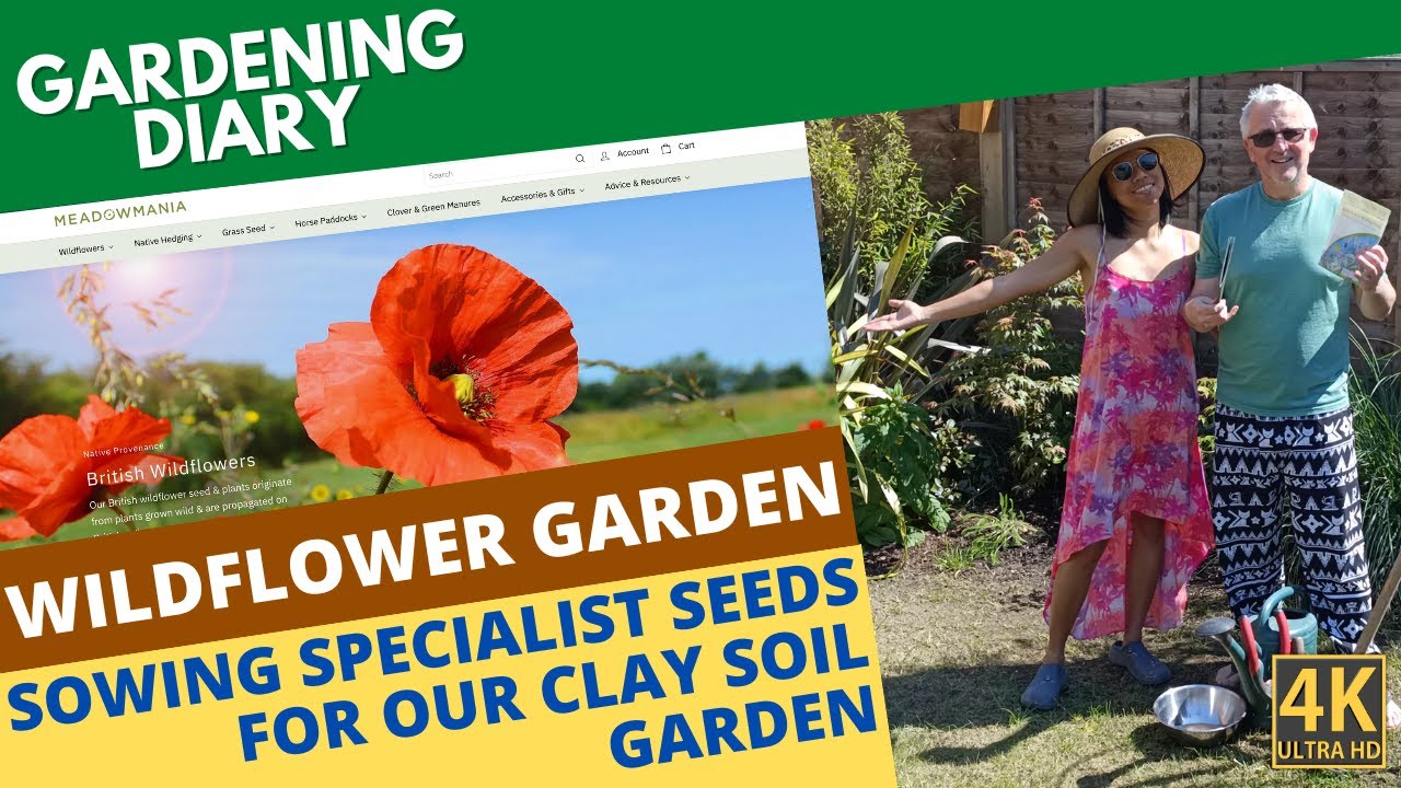 Sowing A Wildflower Garden Using Meadowmania Seeds (Garden Diary 19)