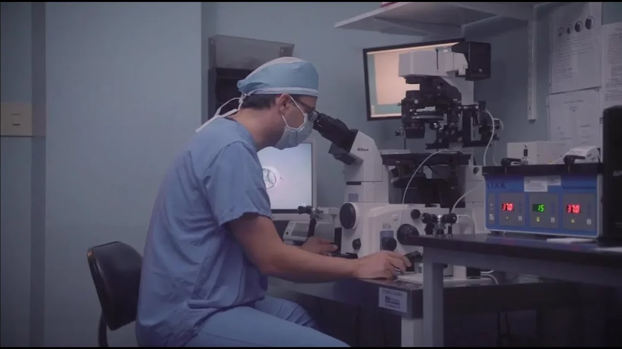 IVF at South Jersey Fertility Center