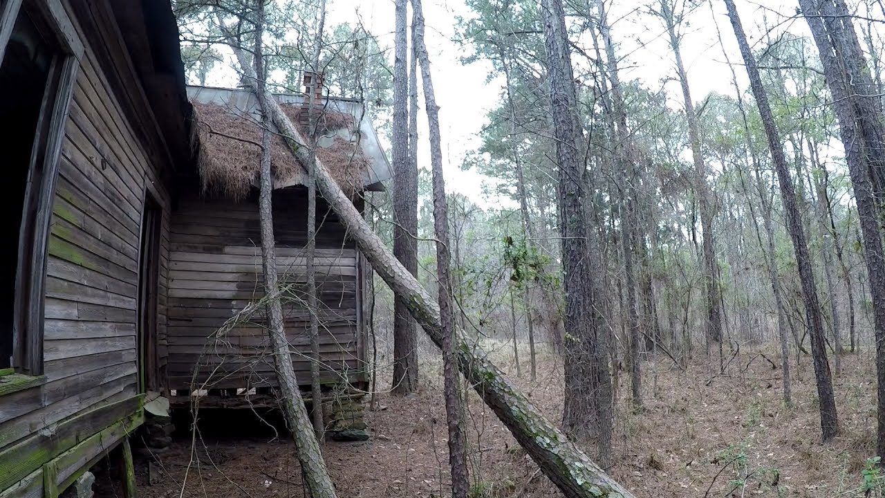 Exploring 1800's Abandoned Houses in Rural Georgia and More