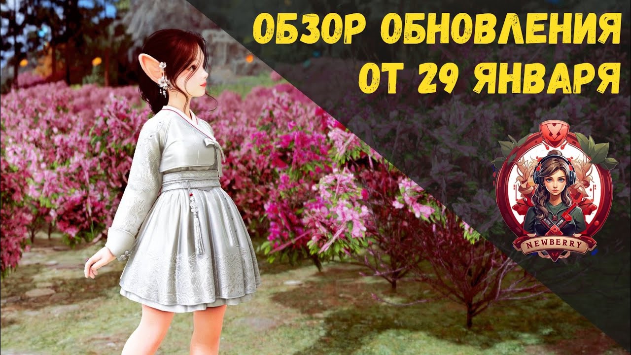 [BDO] 📄 ОБЗОР ОБНОВЛЕНИЯ ОТ 29.01.26 / НОВЫЙ КОСТЮМ / УЛУЧШЕНИЕ ГИЛЬДИЙ / УПРОЩЕНИЕ АКАДЕМИЯ ОЛИВИИ