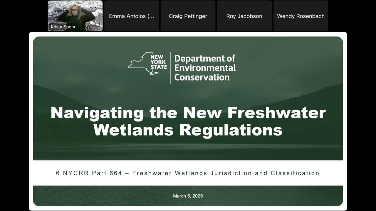 Navigating New Waters: Understanding DEC's Freshwater Wetland Regulations for NY Municipalities