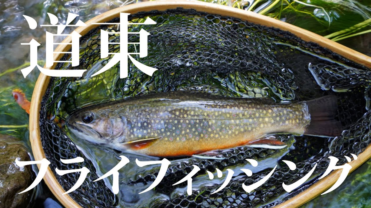 【高橋章】憧れの道東 バイカモ揺れる湧水の川/DAY3【北海道道東河川】#北海道 #道東 #フライフィッシング