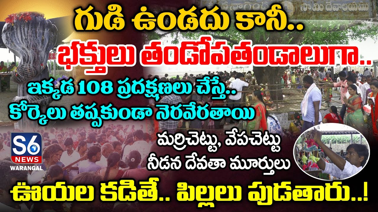 History of Oorugonda Shiva Nagendra Swamy Temple | Unknown Facts | S6 News Warangal