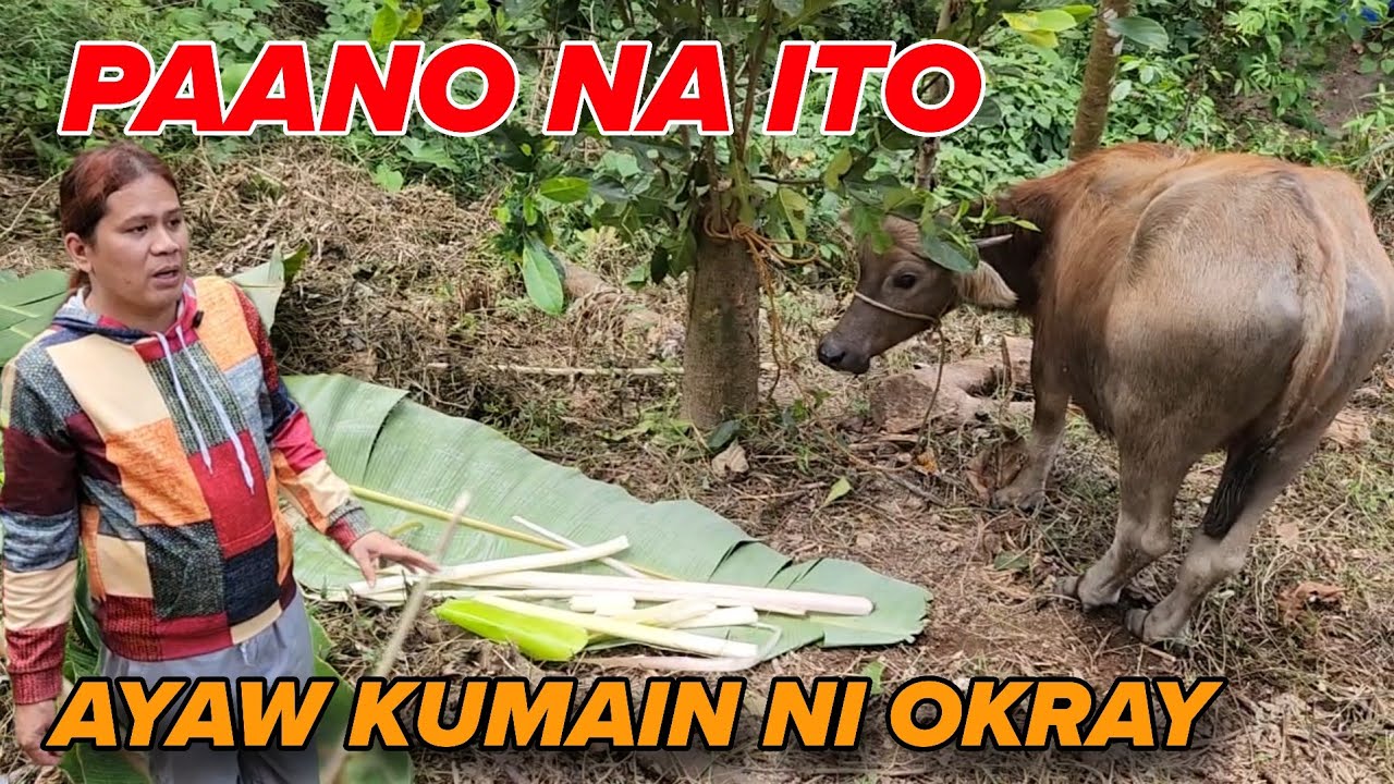 EP133 BAGONG PAMILYA NA KATUTUBO AMING NATUKLASAN SA GITNA NG KABUNDUKAN NAKATIRA