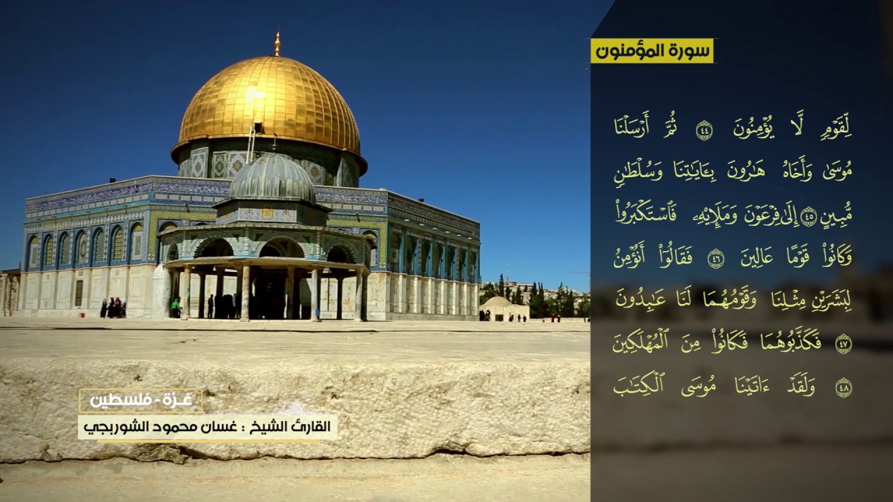 غسان الشوربجي  سورة المؤمنون