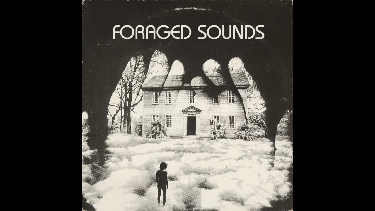 Foraged Sounds - Distant Light (Dreamy Psychedelic Folk, Soft Rock, & Electronic Vinyl Mix)