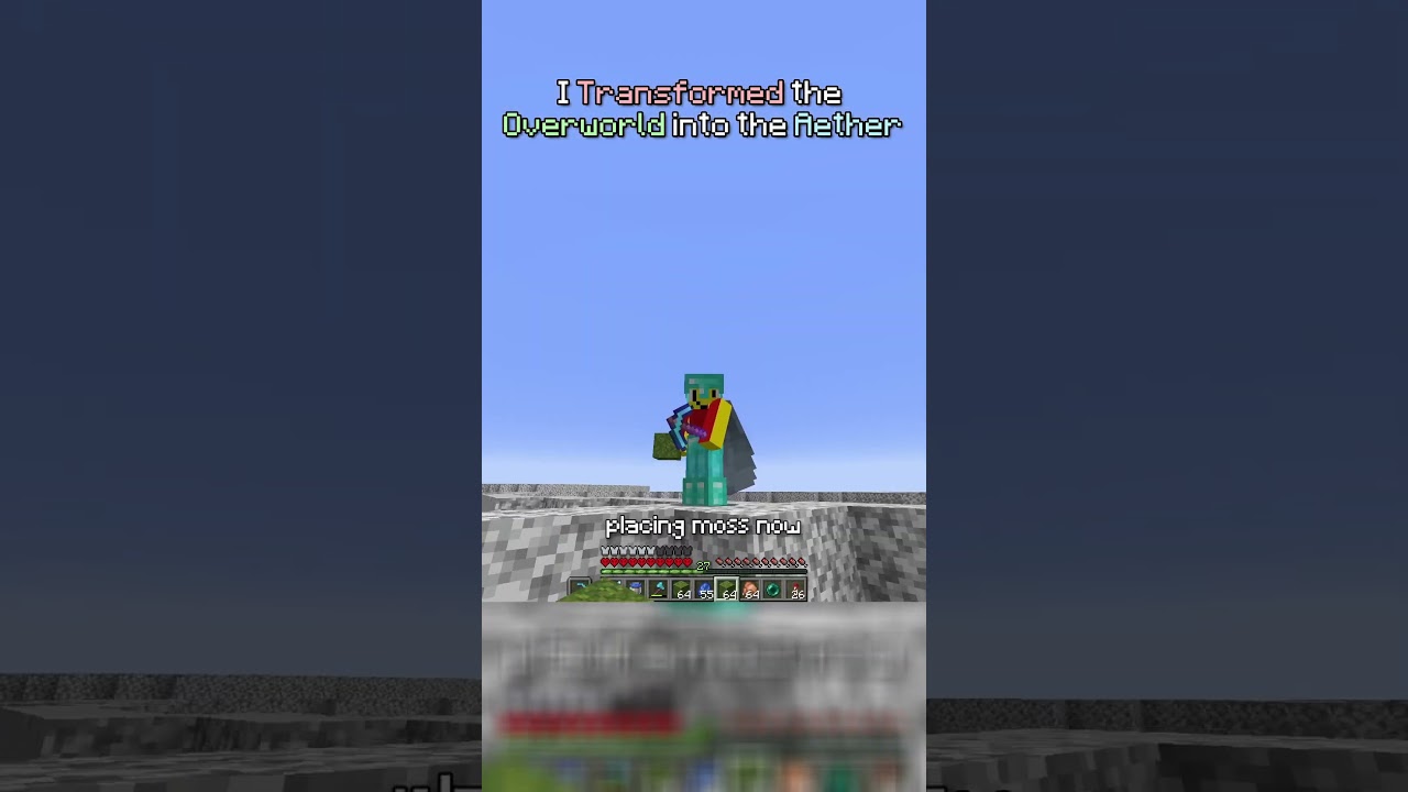 I Transformed the Overworld into the Aether Part 11