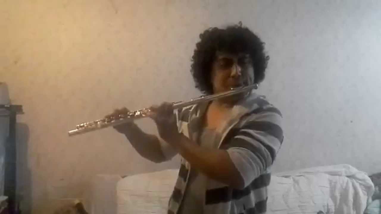 Mägo de Oz Molinos de Viento Cover Flauta