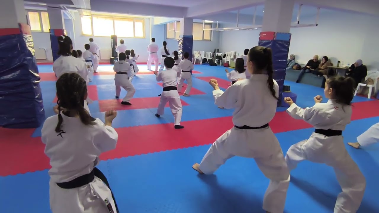 Kata  - Bassai Sho 16.04.2025 çalışması